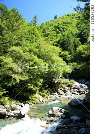 褶曲した変成岩の渓谷を流れる汗見川の清流 褶曲した変成岩の渓谷を流れる汗見川の清流 116528292