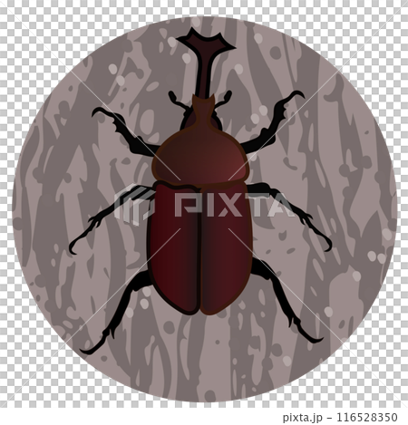甲蟲圖 116528350