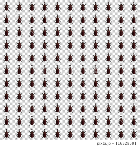 甲蟲壁紙圖 甲蟲壁紙圖 116528391