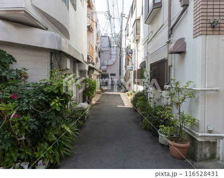 住宅が密集する路地裏の風景 116528431
