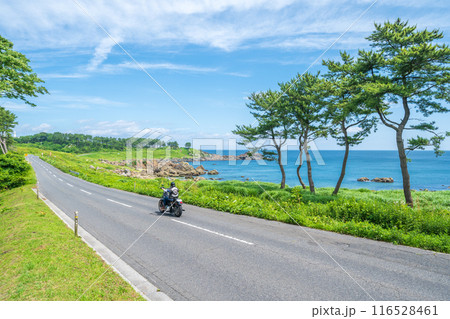 青森県八戸市種差海岸　東山魁夷の「道」のモチーフになった風景 116528461