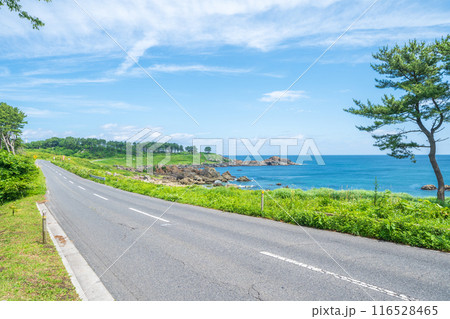 青森県八戸市種差海岸　東山魁夷の「道」のモチーフになった風景 116528465