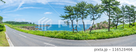 青森県八戸市種差海岸 東山魁夷の「道」のモチーフになった風景 青森県八戸市種差海岸 東山魁夷の「道」のモチーフになった風景 116528466