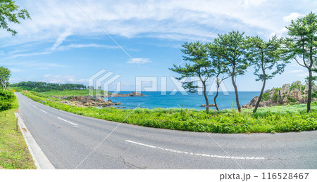 青森県八戸市種差海岸　東山魁夷の「道」のモチーフになった風景 116528467