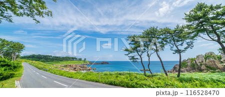 青森県八戸市種差海岸　東山魁夷の「道」のモチーフになった風景 116528470