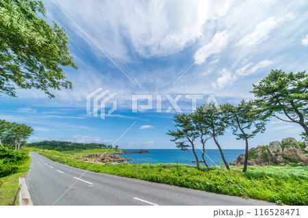 青森県八戸市種差海岸　東山魁夷の「道」のモチーフになった風景 116528471
