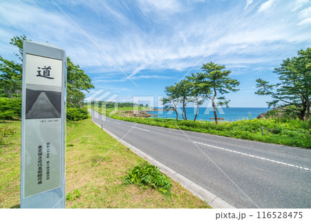 青森県八戸市種差海岸　東山魁夷の「道」のモチーフになった風景 116528475