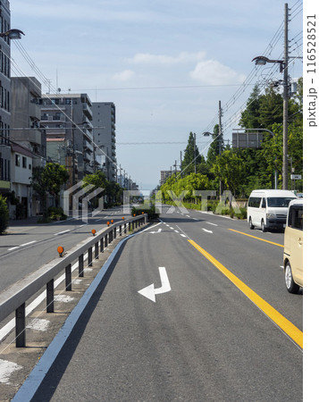 大阪市内を通る長居公園東筋の風景 116528521