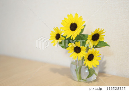 花瓶のミニひまわり 116528525