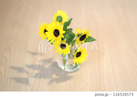 花瓶のミニひまわり 花瓶のミニひまわり 116528573