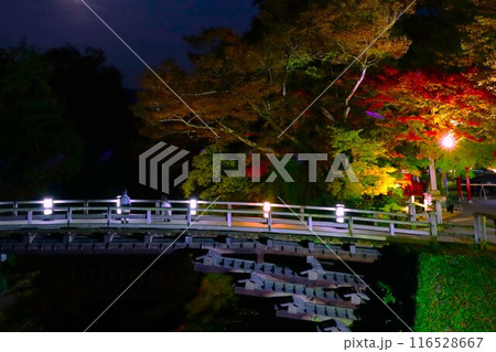 紅葉 甲斐の猿橋 紅葉 甲斐の猿橋 116528667