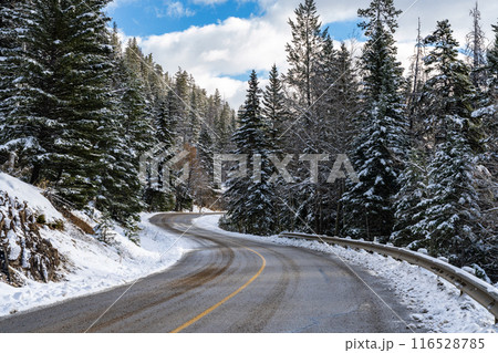 Mount Norquay Scenic Drive mountain road. Banff Na 116528785
