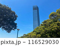 千葉ポートタワーと自然 116529030