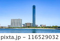 千葉ポートタワーと港の風景 116529032