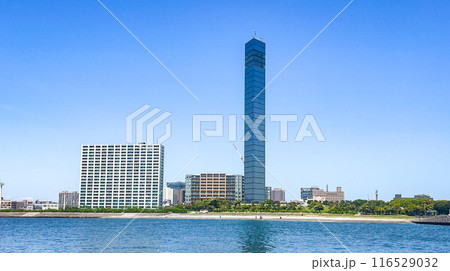 千葉ポートタワーと港の風景 116529032