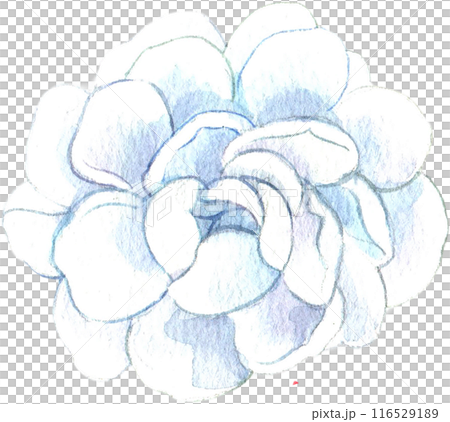 Songkran Festival Water Splash of Thailand, Thai Traditional Design PNG 116529189