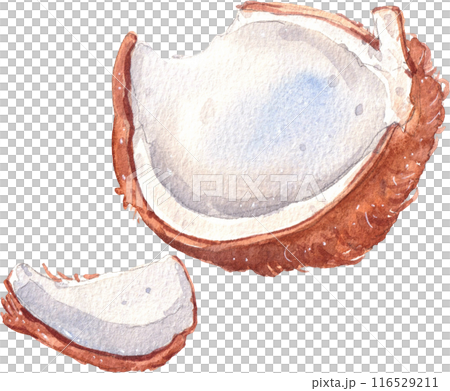 Coffee culture watercolor png icon 116529211