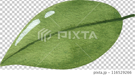 Bubble milk tea watercolor icon 116529266