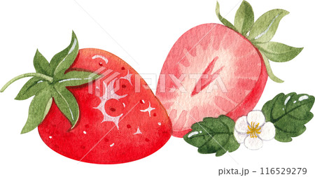 Bubble milk tea watercolor icon Bubble milk tea watercolor icon 116529279