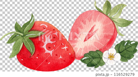 Bubble milk tea watercolor icon Bubble milk tea watercolor icon 116529279