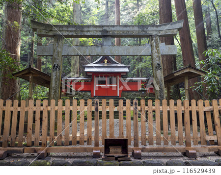 龍穴神社の本殿と鳥居 116529439