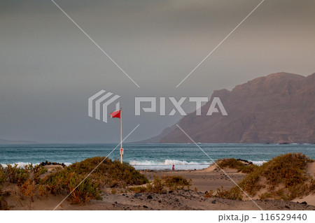 Sandy beach and Atlantic ocean, Lanzarote, Spain 116529440