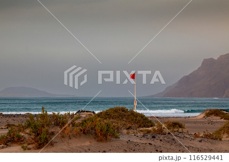 Sandy beach and Atlantic ocean, Lanzarote, Spain 116529441