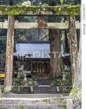 奈良県宇陀市室生の龍穴神社 奈良県宇陀市室生の龍穴神社 116529477
