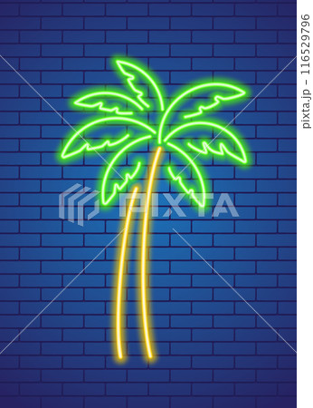 Neon glowing colorful palm tree Neon glowing colorful palm tree 116529796
