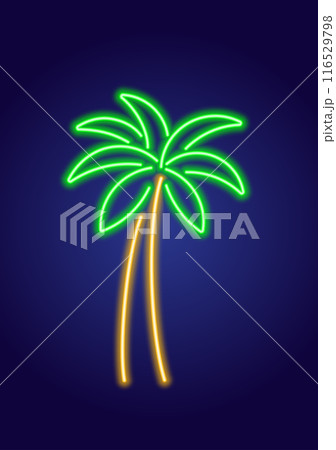 Neon glowing colorful palm tree Neon glowing colorful palm tree 116529798
