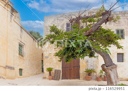Impression from the historic Maltese city of Mdina without people 116529951