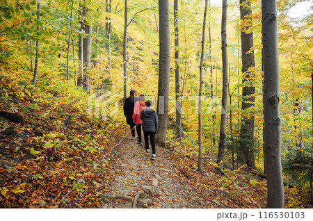 Mountain path among trees and open areas in the Carpathian Mountains. Beautiful nature landscape. Ukraine Mountain path among trees and open areas in the Carpathian Mountains. Beautiful nature landscape. Ukraine 116530103