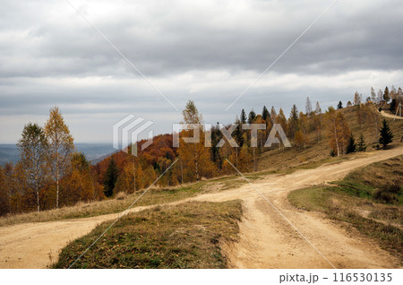 Golden autumn in the Carpathians. Mining arrays combined with trees with yellow leaves. Beautiful clouds and sun 116530135