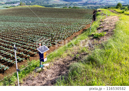 電柵　電気柵 116530582