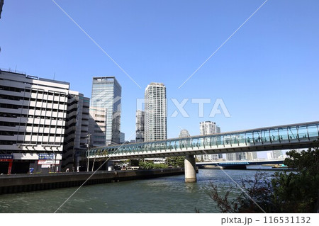 横浜駅東口 帷子川と「はまみらいウォーク」 116531132