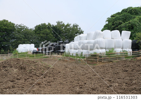 積み上げられたラップサイレージ　貯蔵発酵される牧草 116531303