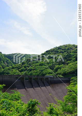兵庫県淡路島 大日川ダム 兵庫県淡路島 大日川ダム 116531460