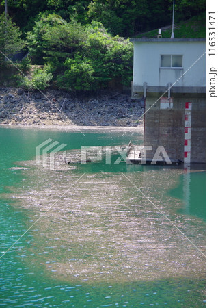 兵庫県淡路島 大日川ダム 兵庫県淡路島 大日川ダム 116531471