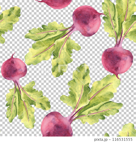 Watercolor Seamless Pattern with Beet root and green Leaves on a white background. Can be used for kitchen textile prints, product packaging design. Watercolor Seamless Pattern with Beet root and green Leaves on a white background. Can be used for kitchen textile prints, product packaging design. 116531555
