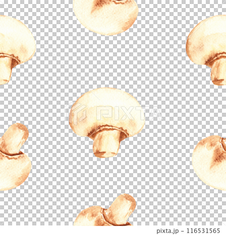 Seamless Pattern with Watercolor fresh Champignon Mushrooms on a white background. Can be used for kitchen Harvest textile prints, product packaging and wrapping paper design. 116531565