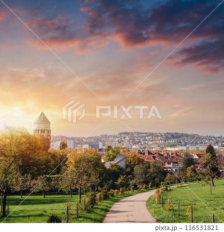 Germany, Stuttgart panorama view. Beautiful houses in autumn, Sky and nature landscape. Vineyards in Stuttgart - colorful wine growing region in the south of Germany with view over Neckar Valley 116531821