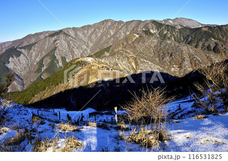 雪の丹沢の三ノ塔山頂から望む丹沢山地　鍋割山　塔ノ岳　丹沢山 116531825