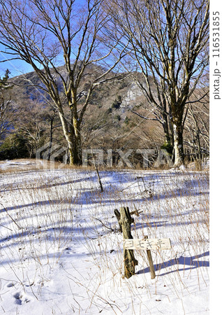 厳冬の丹沢山地　雪原のヨモギ平より眺める三ノ塔 116531855