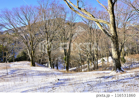厳冬の丹沢山地　雪原のヨモギ平より眺める三ノ塔 116531860