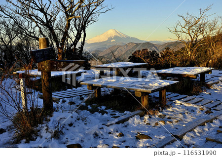 朝日射す丹沢の二ノ塔山頂より富士山を望む 朝日射す丹沢の二ノ塔山頂より富士山を望む 116531990