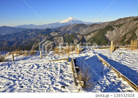 丹沢の三ノ塔山頂より 雪の頂から望む雪化粧の富士山 丹沢の三ノ塔山頂より 雪の頂から望む雪化粧の富士山 116532028