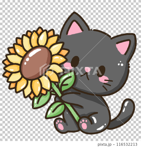 Hand drawn doodle illustration kawaii cute black cat named Luna kitten Fall sunflower thanksgiving decoration,halloween, autumn Hand drawn doodle illustration kawaii cute black cat named Luna kitten Fall sunflower thanksgiving decoration,halloween, autumn 116532213