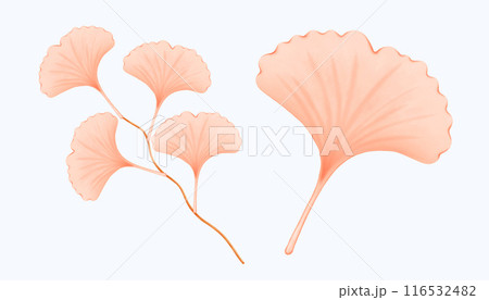 Cute Watercolor Fall Clipart - Download Cozy Autumn Illustration 116532482