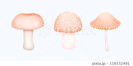 Cute Watercolor Fall Clipart - Download Cozy Autumn Illustration Cute Watercolor Fall Clipart - Download Cozy Autumn Illustration 116532491