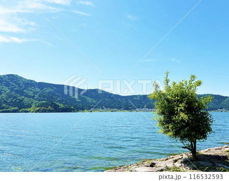晴れた日の湖畔の風景 晴れた日の湖畔の風景 116532593